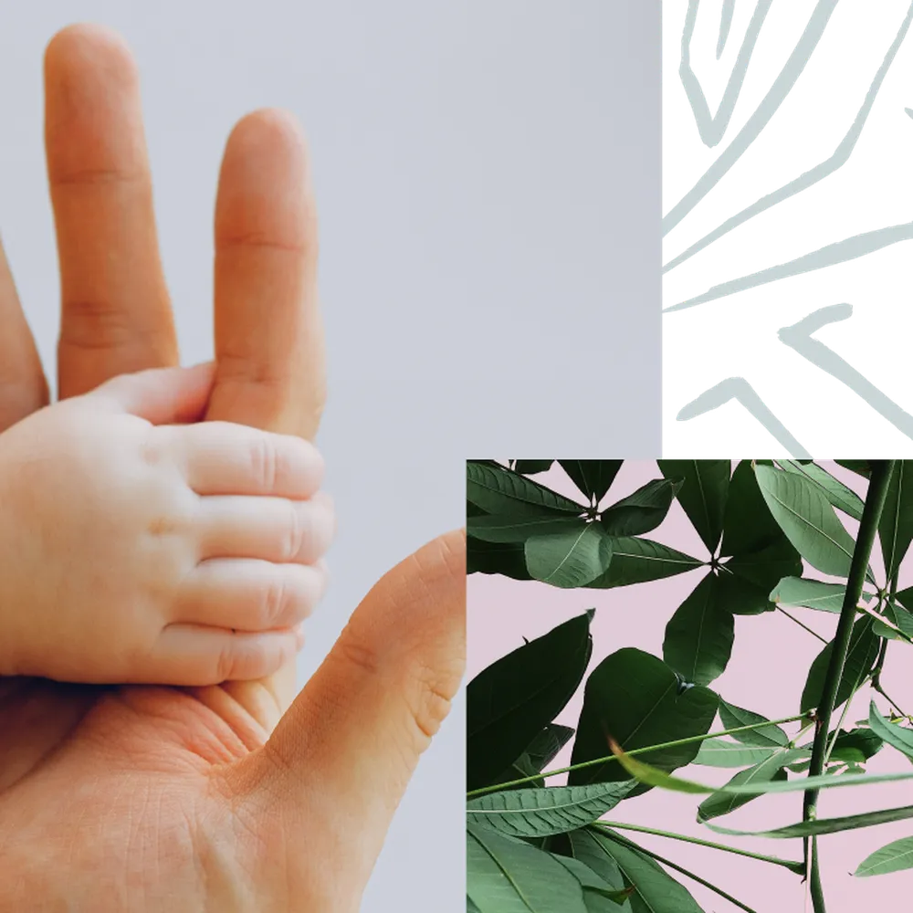 Baby hand and adult hand