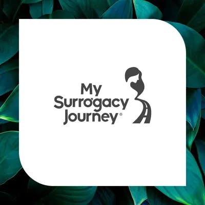 My surrogacy journey logo