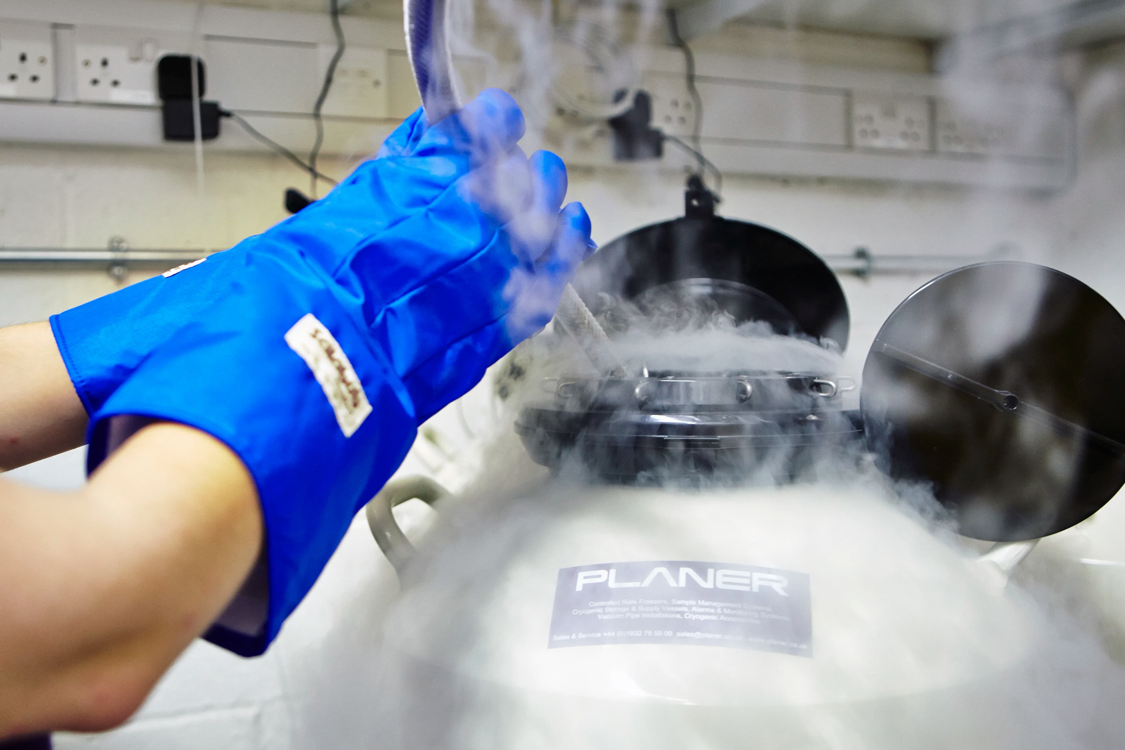 egg freezing