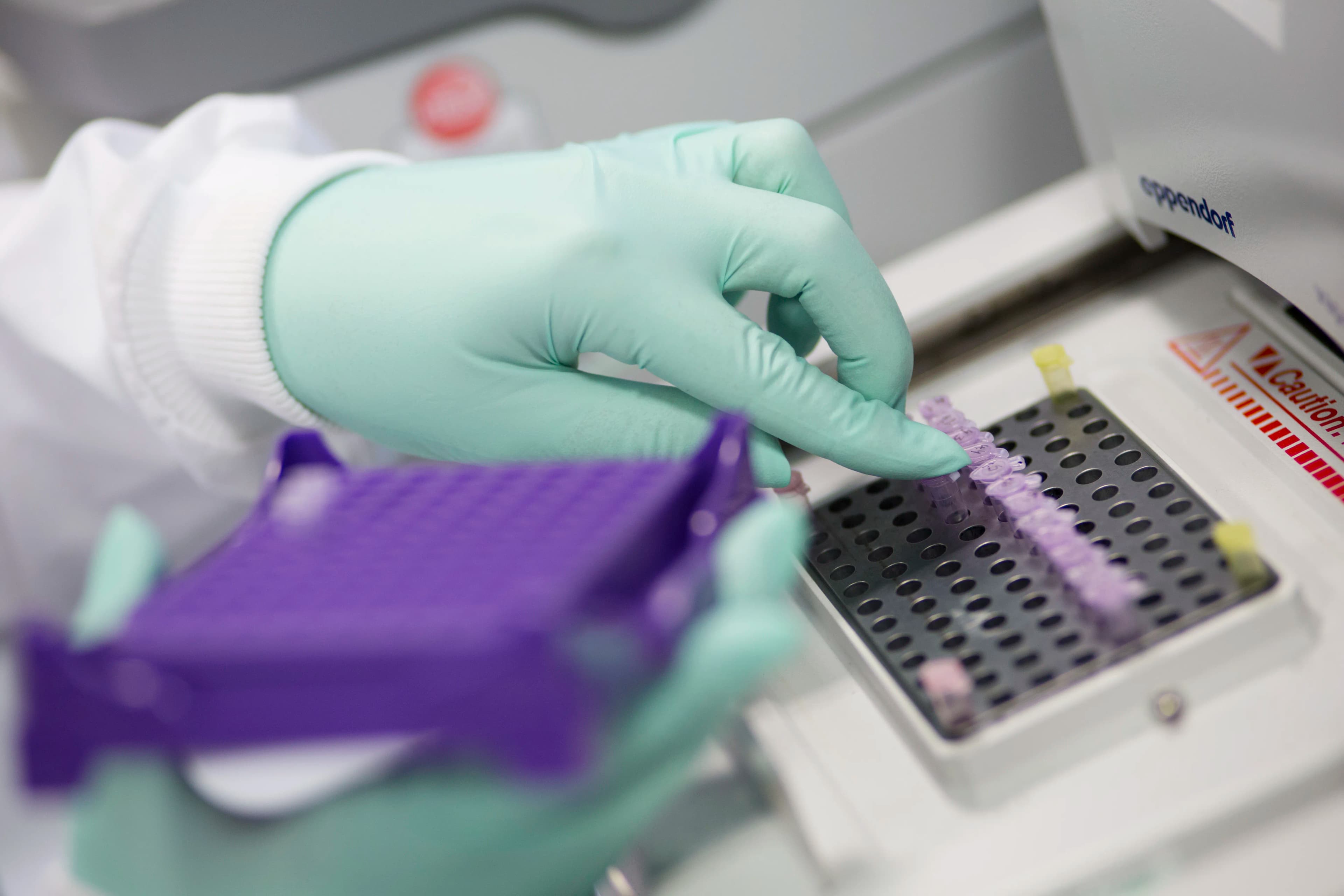 Reprogenetics