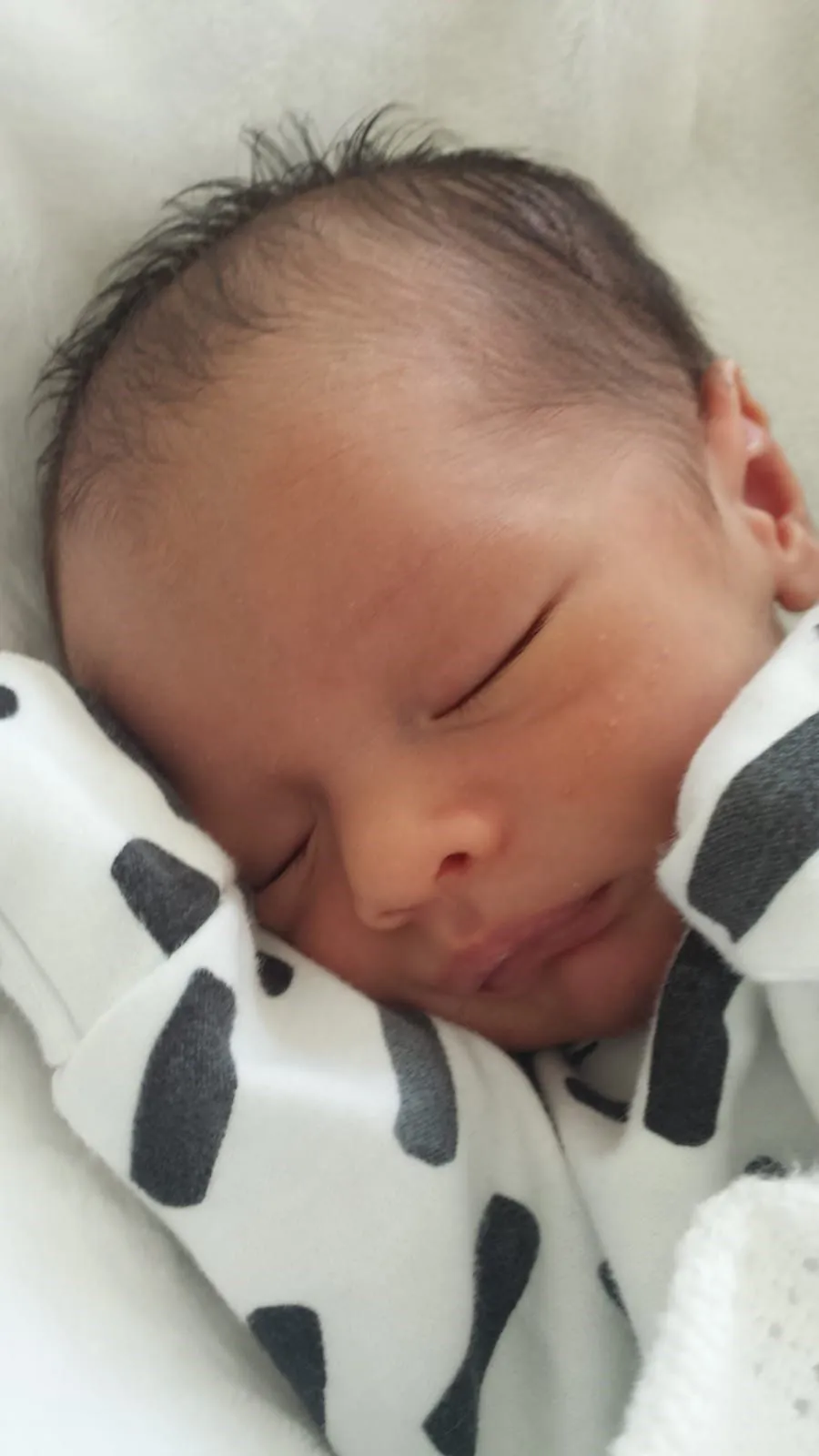 Baby Arthur